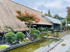 -老房子金沙元年川菜食府·花园餐厅(金沙店)
