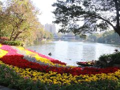 -荔湾湖公园