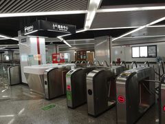 -上海游泳馆(地铁站)