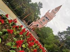-黑龙江省森林植物园