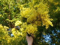 -厦门国家会计学院