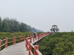-北海金海湾红树林生态旅游区