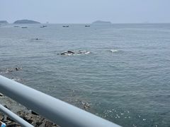 -银沙滩浴场