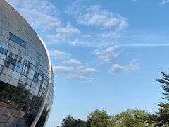 -广西体育中心-游泳馆