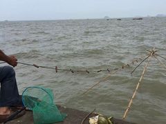 -野狸岛