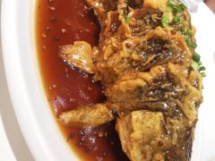 老济南糖醋鲤鱼-金春禧(世茂国际广场店)