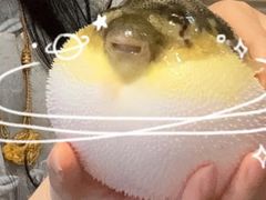 -肆月河豚·淮扬菜·湘菜(华天店)