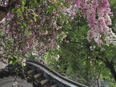 -深圳国际园林花卉博览园