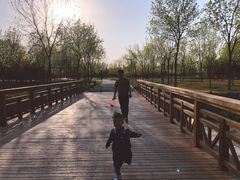 -东郊湿地公园