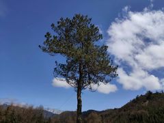 -硗碛藏寨·神木垒景区