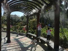-大屏嶂森林公园