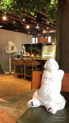 大厅-V-STAR威斯达•高级私人定制