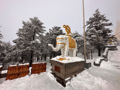 -峨眉山风景名胜区