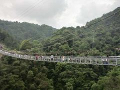 -九龙江国家森林公园