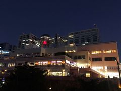-台场海滨公园船码头