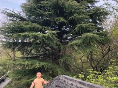 -虞山城墙