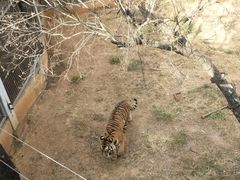 -昆明动物园