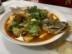-煲来饱去冷水鱼