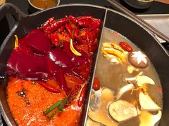 -大龙燚·旷野鲜火锅(广州首店)