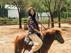 -水上乐园·欢乐世界