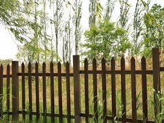 -野鸭湖国家湿地公园