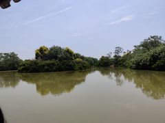 -大湾区中央湿地公园