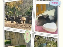 -上海野生动物园