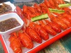 -不炭白烧烤(成都首店)