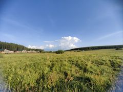 -塞罕坝国家级自然保护区