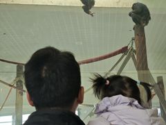 -太原动物园