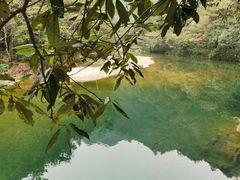 -龙湾潭国家森林公园