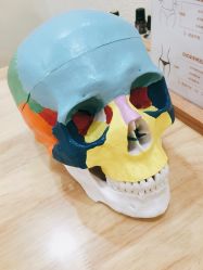 -颜和骨正·明哲式骨相美学整骨