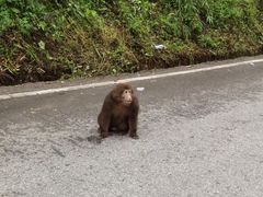 -西岭雪山大飞水景区