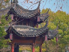 -运河游船(武林门码头)