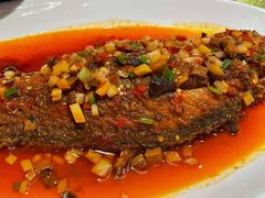 干烧大黄鱼-金鼎轩(亚运村店)