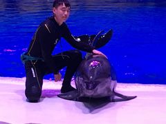 -华夏文旅海洋公园