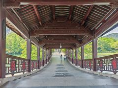 -长广溪湿地公园