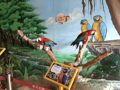 -辛玛王国游乐园