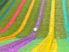 -梦幻奥陶纪景区