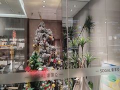 -索菲亚衣柜橱柜全屋定制(真北红星店)