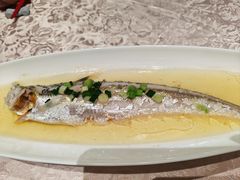 -新光酒家·河豚·海鲜·蟹料理(浦东店)