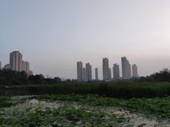 -前关湿地公园