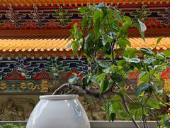 -宝莲禅寺