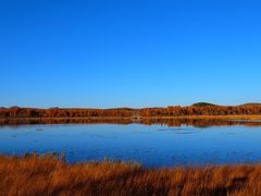 -塞罕坝国家级自然保护区