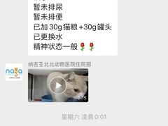 -纳吉亚猫专科动物医院·北北分院