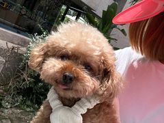 -微焙咖啡工厂(海峡创意产业园·红坊店)