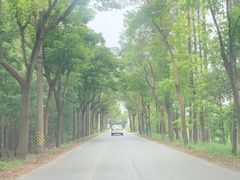 -上海海湾国家森林公园