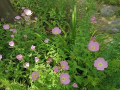 -湖上人家·船菜·私房菜(拈花湾景区店)
