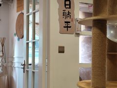 -楼上猫咖(罗湖店)