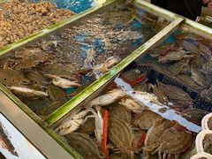 -南沙十九涌渔人码头-南门